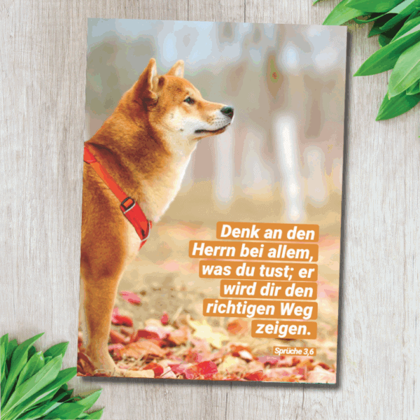 Vertrau auf Gott für Wegweisung und Führung im Alltag.