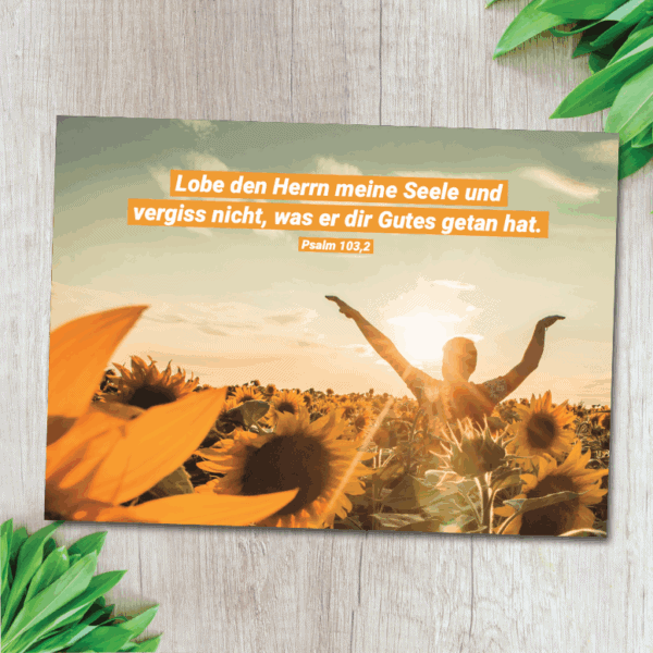 Ruhe und Glaube im Sonnenblumenfeld, christliche Inspiration, Psalm 103,2.