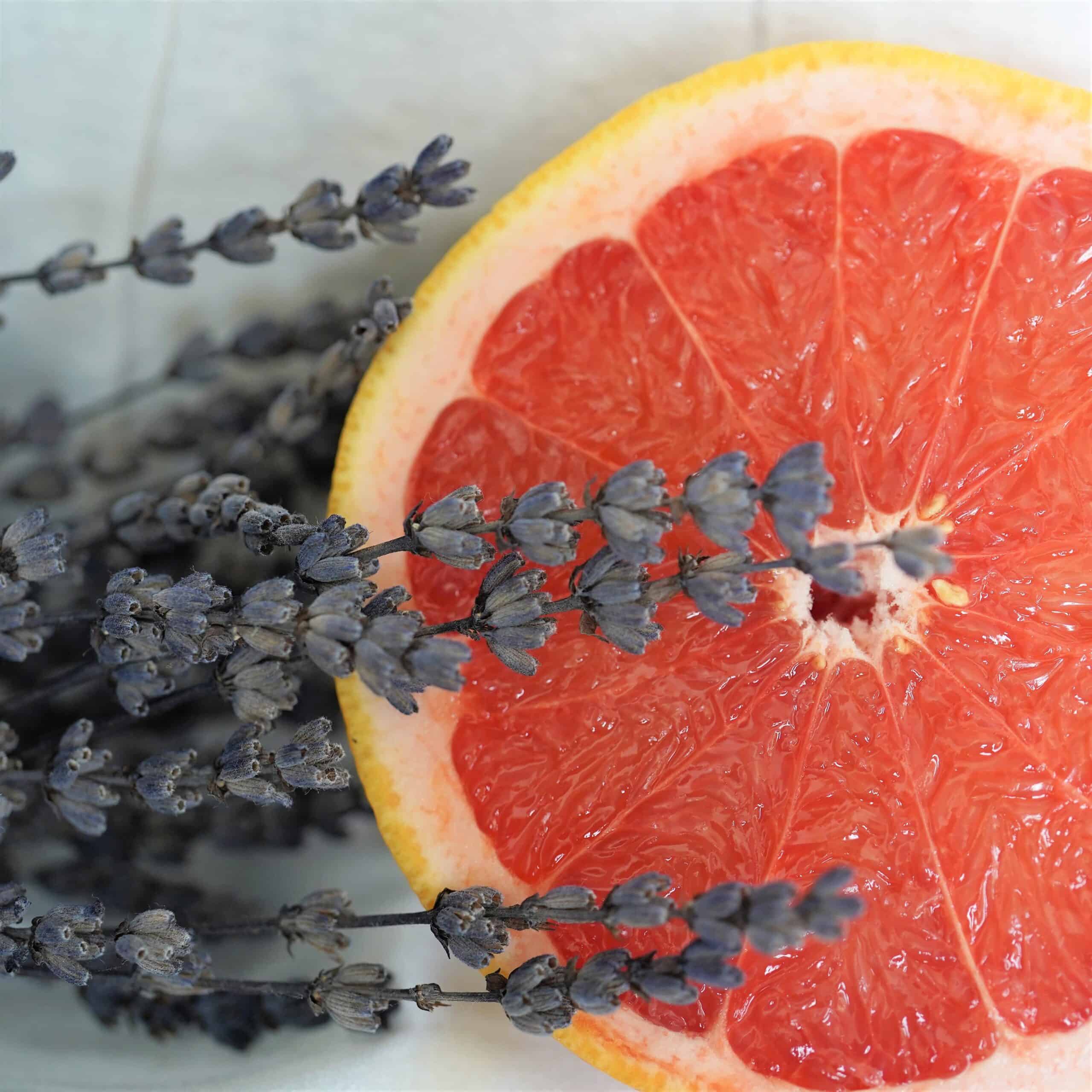 Frischer Grapefruit-Hälften und Lavendelzweige, natürliche gesunde Ernährung.