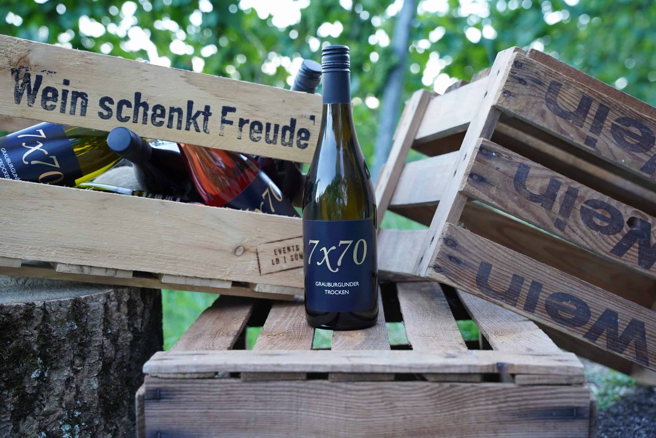 Bio-Trockenrotwein aus christlichem Markenshop, nachhaltige Weinlieferung, Weinzeug Christian.